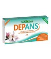 DEPANS 20CPR