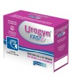 UROGYN FAST 12 BUSTINE