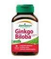 JAMIESON GINKGO BILOBA 90 COMPRESSE