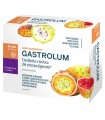 GASTROLUM 14 STICK DA 10 ML