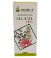 SILICAL PLUS 60 COMPRESSE