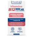 VITACURVEG VITAMINA B12 100 COMPRESSE