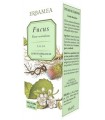 FUCUS 50 ML