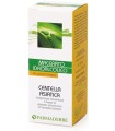 CENTELLA ASIATICA MACERATO IDROALCOLICO 50 ML